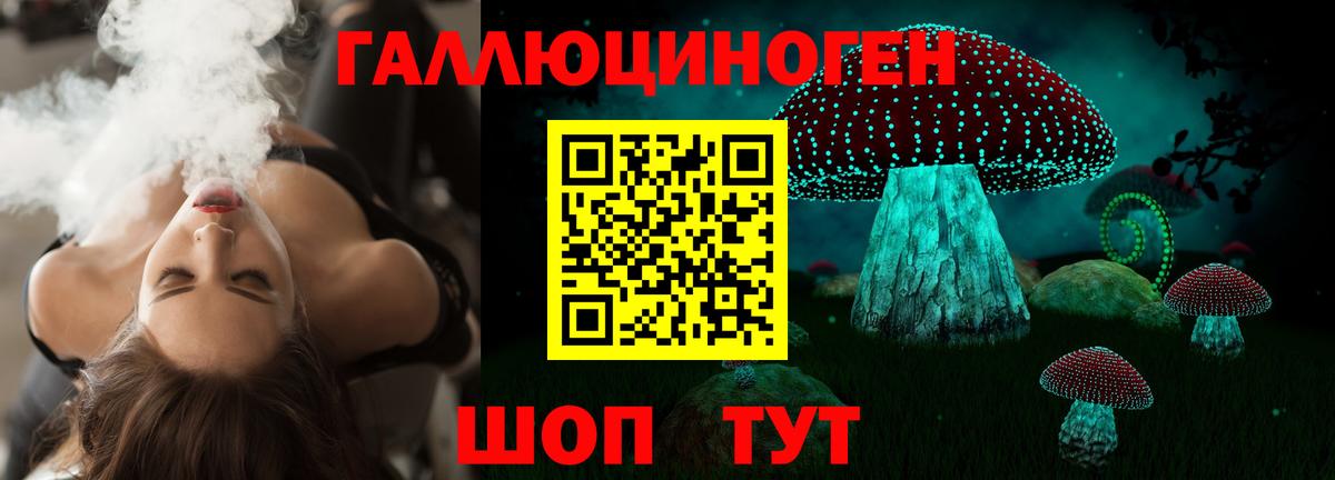 Шадринск  Псилоцибиновые грибы мухоморы  Вход с VPN  Галлюциногенные грибы мухоморы 